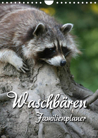 Waschbären Familienplaner (Wandkalender 2022 DIN A4 hoch)