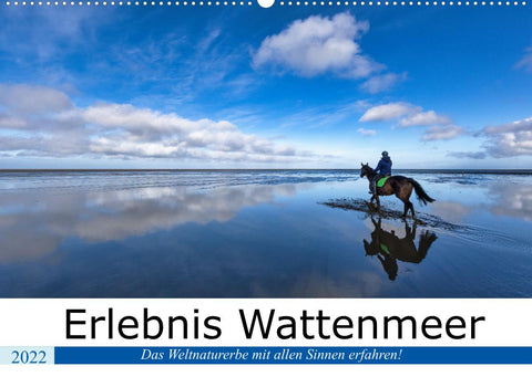 Erlebnis Wattenmeer (Wandkalender 2022 DIN A2 quer)