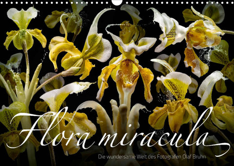 Flora miracula - Die wundersame Welt des Fotografen Olaf Bruhn (Wandkalender 2022 DIN A3 quer)
