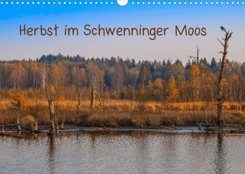 Herbst im Schwenninger Moos (Wandkalender 2022 DIN A3 quer)