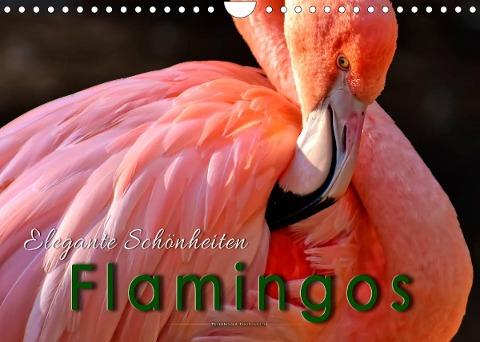 Flamingos - elegante Schönheiten (Wandkalender 2022 DIN A