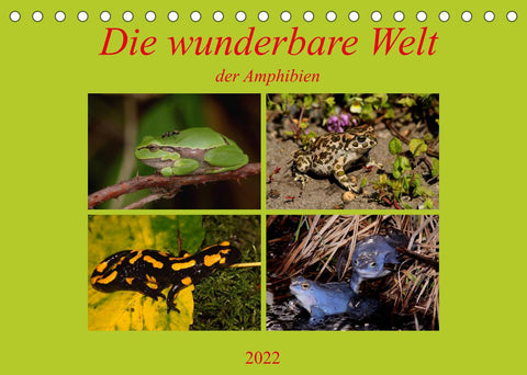 Die wunderbare Welt der Amphibien (Tischkalender 2022 DIN A5 quer)