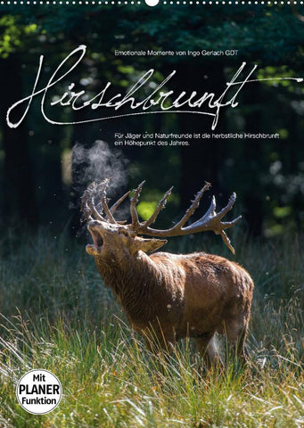 Emotionale Momente: Hirschbrunft (Wandkalender 2022 DIN A2 hoch)