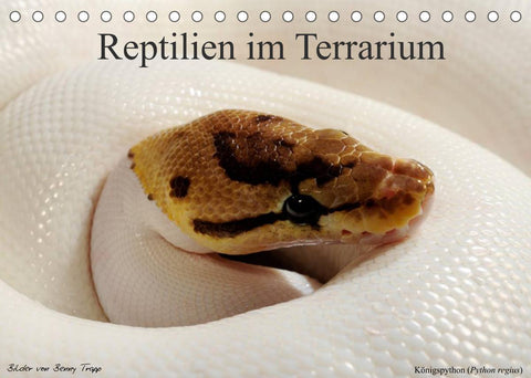 REPTILIEN IM TERRARIUM (Tischkalender 2022 DIN A5 quer)