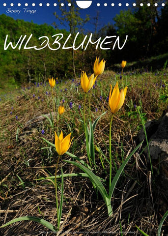 WILDBLUMEN (Wandkalender 2022 DIN A4 hoch)