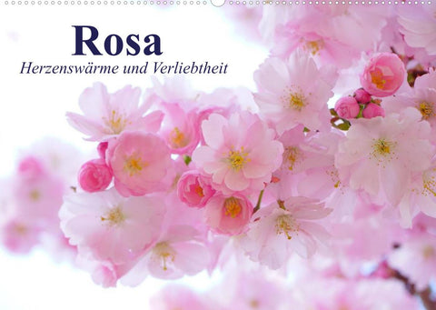 Rosa. Herzenswärme und Verliebtheit (Wandkalender 2022 DIN A2 quer)