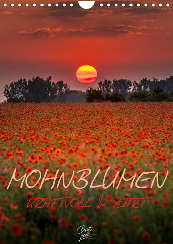 Mohnblumen - kraftvoll und zart (Wandkalender 2022 DIN A4 hoch)