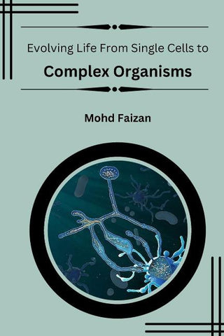 Exploring the Global Landscape of Medicine