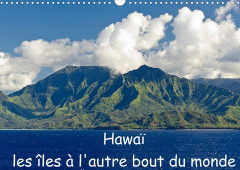 Hawaï les îles à l'autre bout du monde (Calendrier mural 2022 DIN A3 horizontal)