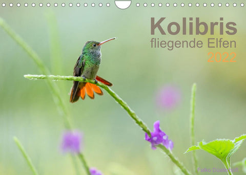 Kolibris - fliegende Elfen (Wandkalender 2022 DIN A4 quer)