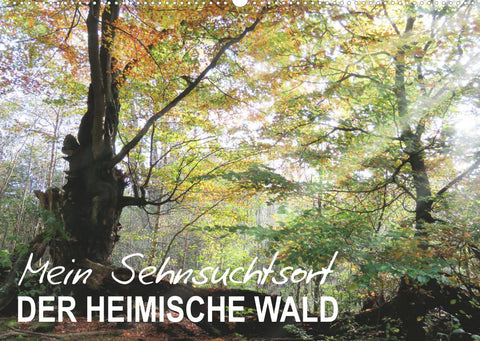 Mein Sehnsuchtsort, der heimische Wald (Wandkalender 2022 DIN A2 quer)