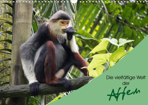Die vielfältige Welt der Affen (Wandkalender 2022 DIN A3 quer)