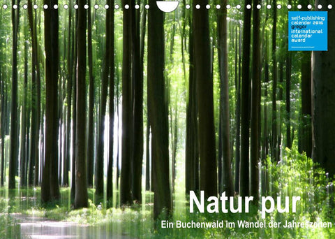 Natur pur - ein Buchenwald im Wandel der Jahreszeiten (Wandkalender 2022 DIN A4 quer)
