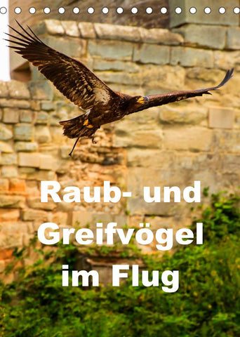 Raub- und Greifvögel im Flug (Tischkalender 2022 DIN A5 hoch)