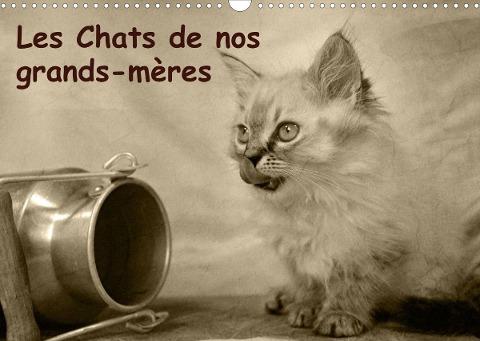 Les Chats de nos grands-mères (Calendrier mural 2022 DIN A3 horizontal)