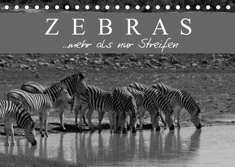 Zebras - Mehr als nur Streifen (Tischkalender 2022 DIN A5 quer)