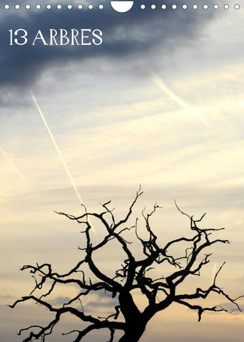 13 ARBRES (Calendrier mural 2022 DIN A4 vertical)
