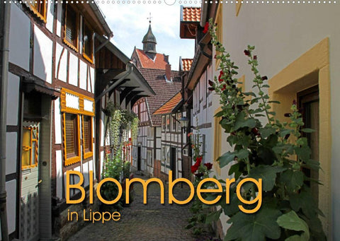 Blomberg in Lippe (Wandkalender 2022 DIN A2 quer)