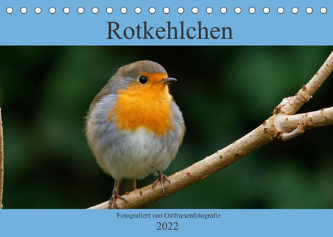 Rotkehlchen - Fotografiert von Ostfriesenfotografie (Tischkalender 2022 DIN A5 quer)