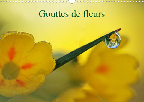 Gouttes de fleurs (Calendrier mural 2022 DIN A3 horizontal)