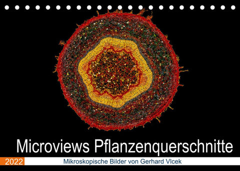 Microviews - Pflanzenquerschnitte (Tischkalender 2022 DIN A5 quer)
