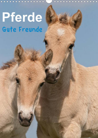 Pferde Gute Freunde (Wandkalender 2022 DIN A3 hoch)