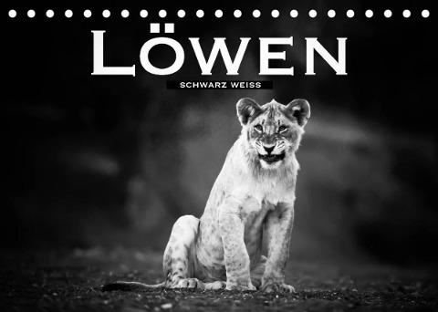Löwen schwarz weiß (Tischkalender 2022 DIN A5 quer)