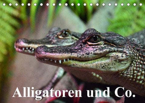 Alligatoren und Co. (Tischkalender 2022 DIN A5 quer)