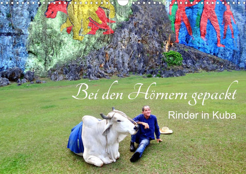 Bei den Hörnern gepackt - Rinder in Kuba (Wandkalender 2022 DIN A3 quer)