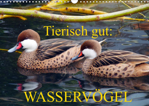 Tierisch gut: Wasservögel (Wandkalender 2022 DIN A3 quer)