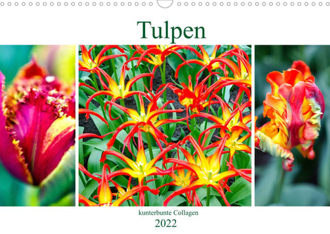 Tulpen - kunterbunte Collagen (Wandkalender 2022 DIN A3 quer)