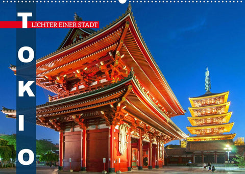 Tokio: Lichter einer Stadt (Wandkalender 2022 DIN A2 quer)