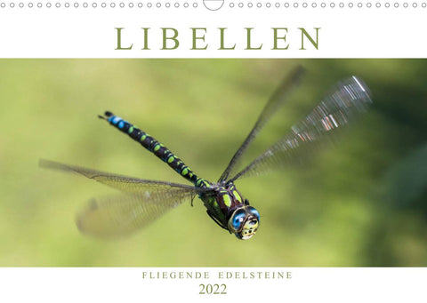 Libellen - Fliegende Edelsteine (Wandkalender 2022 DIN A3 quer)