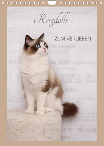 Ragdolls zum Verlieben (Wandkalender 2022 DIN A4 hoch)