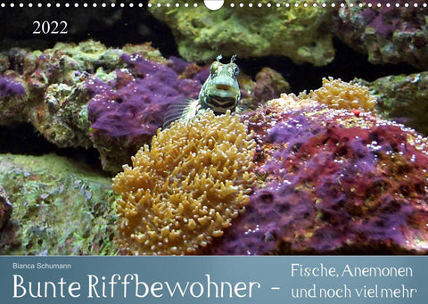 Bunte Riffbewohner - Fische, Anemonen und noch viel mehr (Wandkalender 2022 DIN A3 quer)
