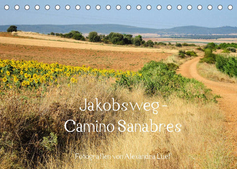 Jakobsweg - Camino Sanabres (Tischkalender 2022 DIN A5 quer)
