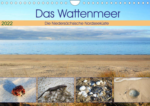 Das Wattenmeer - 2022 (Wandkalender 2022 DIN A4 quer)