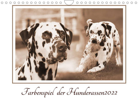 Farbenspiel der Hunderassen (Wandkalender 2022 DIN A4 quer)