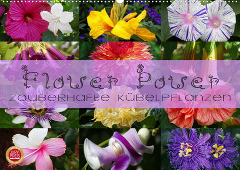 Flower Power - Zauberhafte Kübelpflanzen (Wandkalender 2022 DIN A2 quer)
