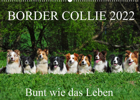 Border Collie 2022 (Wandkalender 2022 DIN A2 quer)