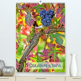 Couleurs raisins (