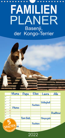 Familienplaner Basenji, der Kongo-Terrier (Wandkalender 2022 , 21 cm x 45 cm, hoch)