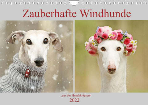 Zauberhafte Windhunde (Wandkalender 2022 DIN A4 quer)