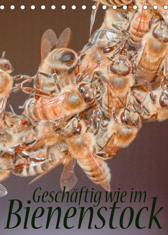 Geschäftig wie im Bienenstock (Tischkalender 2022 DIN A5 hoch)