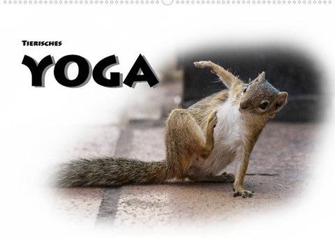 Tierisches Yoga (Wandkalender 2022 DIN A2 quer)