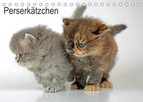 Perserkätzchen / CH-Version (Tischkalender 2022 DIN A5 quer)