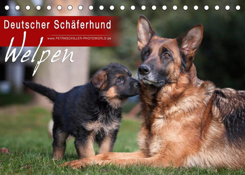 Deutscher Schäferhund - Welpen (Tischkalender 2022 DIN A5 quer)