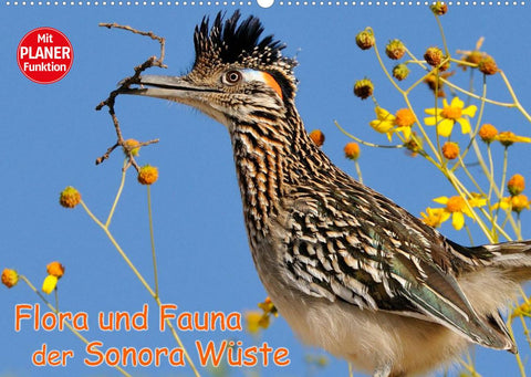 Flora und Fauna der Sonora Wüste (Wandkalender 2022 DIN A2 quer)