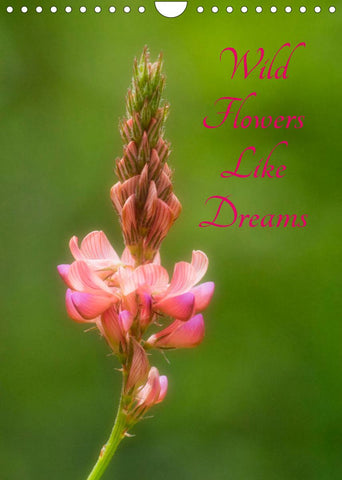 Wild Flowers Like Dreams (Wall Calendar 2022 DIN A4 Portrait)