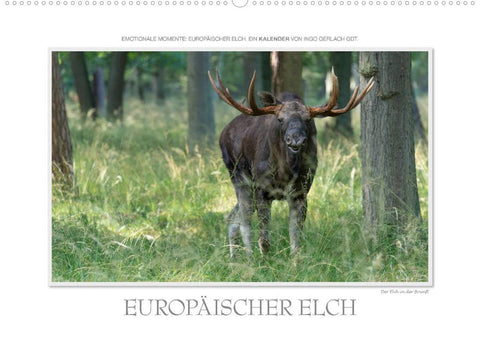 Emotionale Momente: Europäischer Elch. (Wandkalender 2022 DIN A2 quer)